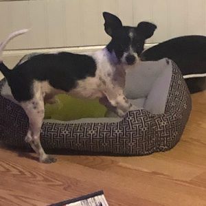 Meet your Posher, Betsy